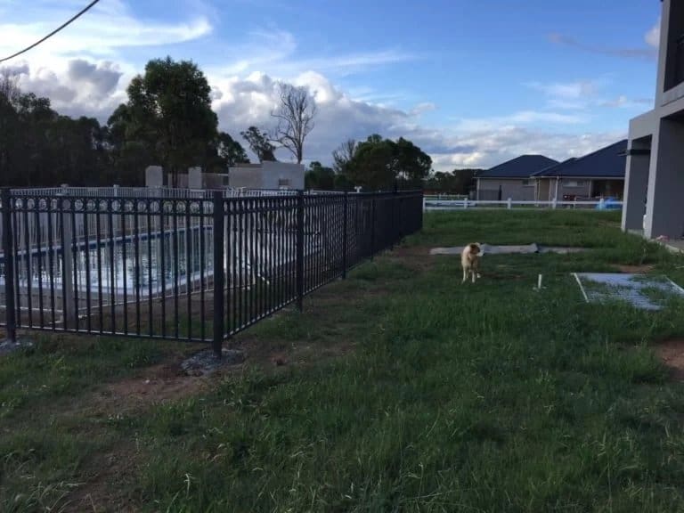 Swimming Pool Fencing